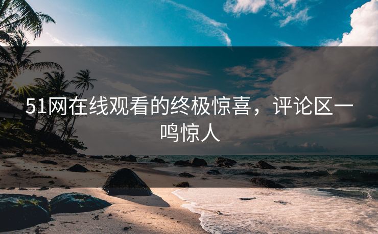 51网在线观看的终极惊喜，评论区一鸣惊人